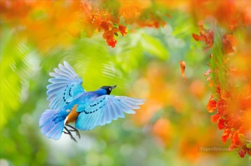 From Photos Realistic Painting - Blue hummingbird in Red Flowers Painting from Photos to Art
